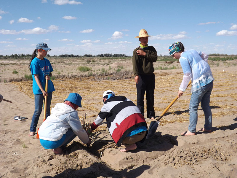 �@�N1.5��Ҋ(ji��n)�������ݸ�������ɳЧ����������^(gu��)4��5���͕�(hu��)�L(f��ng)�g��������Ҫ�����a(b��)����