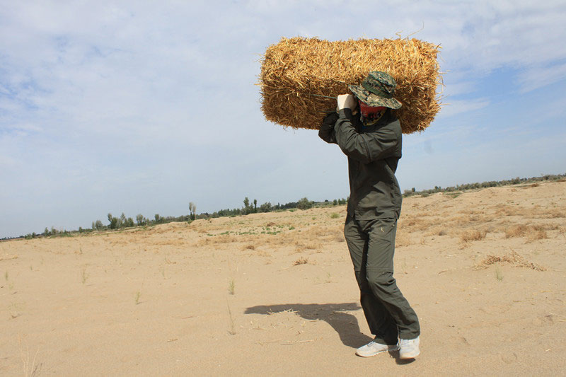 �F(tu��n)�T���i�������������ϳ����ģ����������؟(z��)����