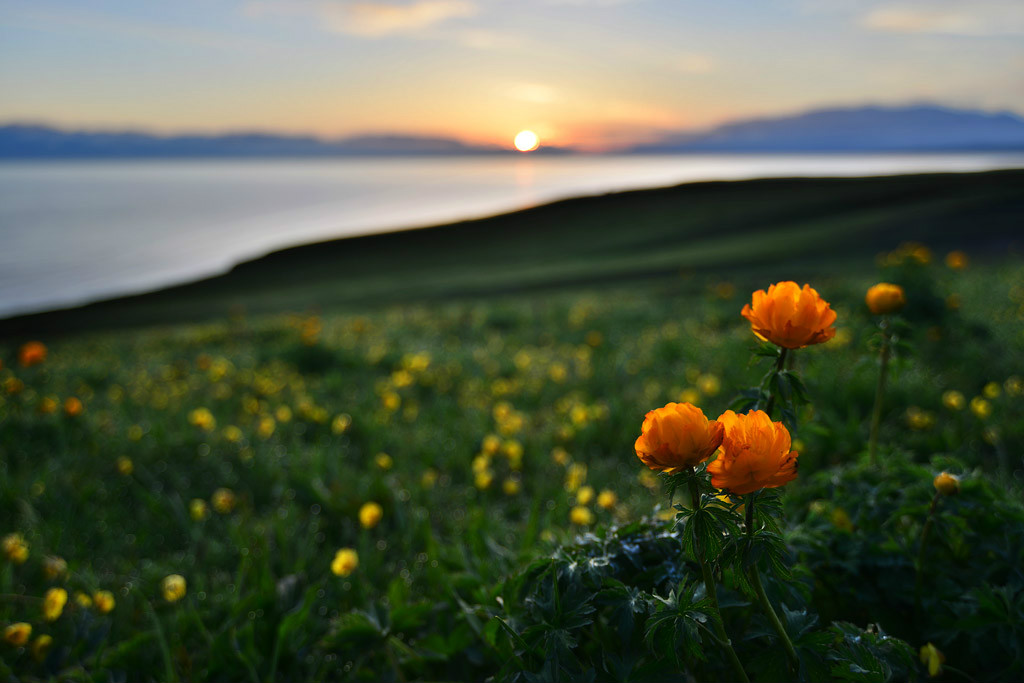 ��������l(xi��ng)�ĸ����