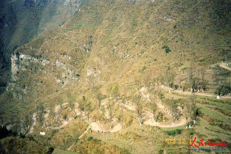 ��¡��24���ա�֮������ꐁ���?j��n)zӰ�� 