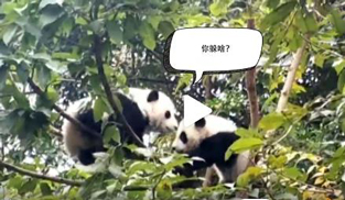 �L�L��̫�ɐ�(��i)����С��ȫ�̡���ĸЦ����