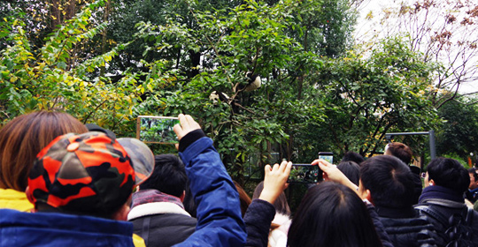 �@�����ӵ������ɶ����W(w��ng)�j(lu��)���ˁ�(l��i)�c(di��n)ٝ