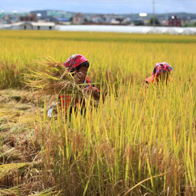 �h��t ���l(xi��ng)��