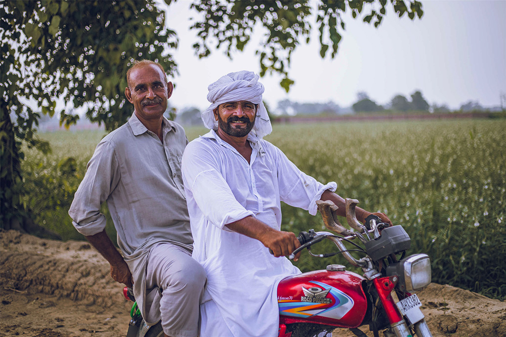 芝麻種植基地給當(dāng)?shù)厝藥?lái)更多就業(yè)機(jī)會(huì)。（人民網(wǎng)記者 薛丹攝）