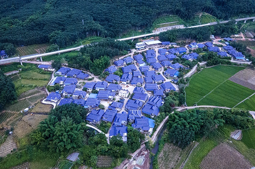 磨憨鎮(zhèn)曼莊村大龍哈小組現(xiàn)代化邊境幸福村新貌。人民網(wǎng)記者 符皓攝