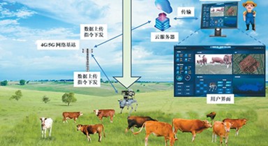 放牧機(jī)器人“慧眼識(shí)?！?/></a></span><a  target=_blank>放牧機(jī)器人“慧眼識(shí)?！?/a></li>
<li><span id=