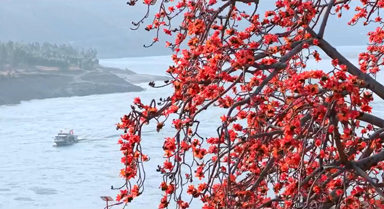 攀枝花長(zhǎng)啥樣？到攀枝花去看看